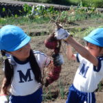 Thumbnail of post image 101