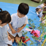 Thumbnail of post image 107