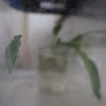 Thumbnail of post image 115